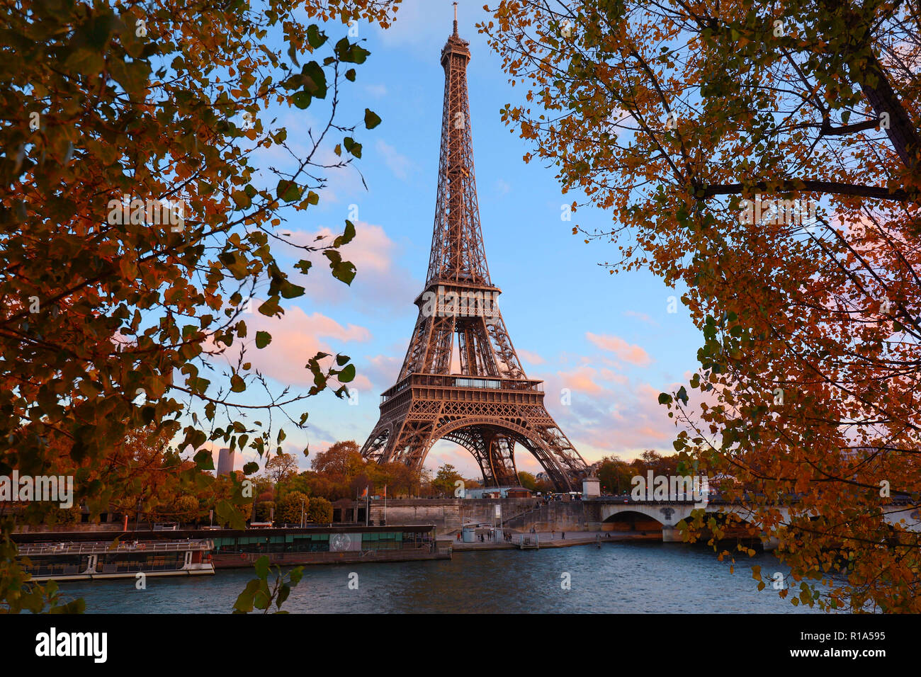 The Eiffel tower and autumnal trees in the foreground. Stock Photo