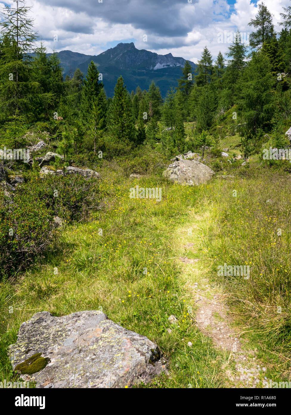 Remote location on a hiking trail in Neustift, Stubai Valley, Innsbruck, Tyrol, Austria Stock Photo