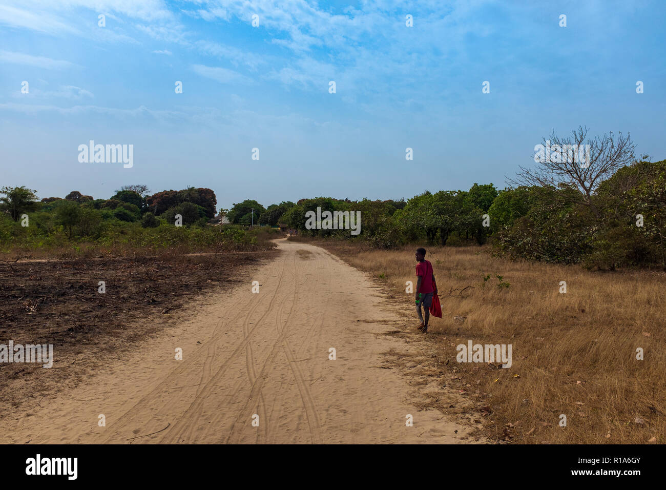 Orango Island, Guinea-Bissau - February 3, 2018:  Young boy walking along a dirt road near the village of Eticoga in the island of Orango. Stock Photo