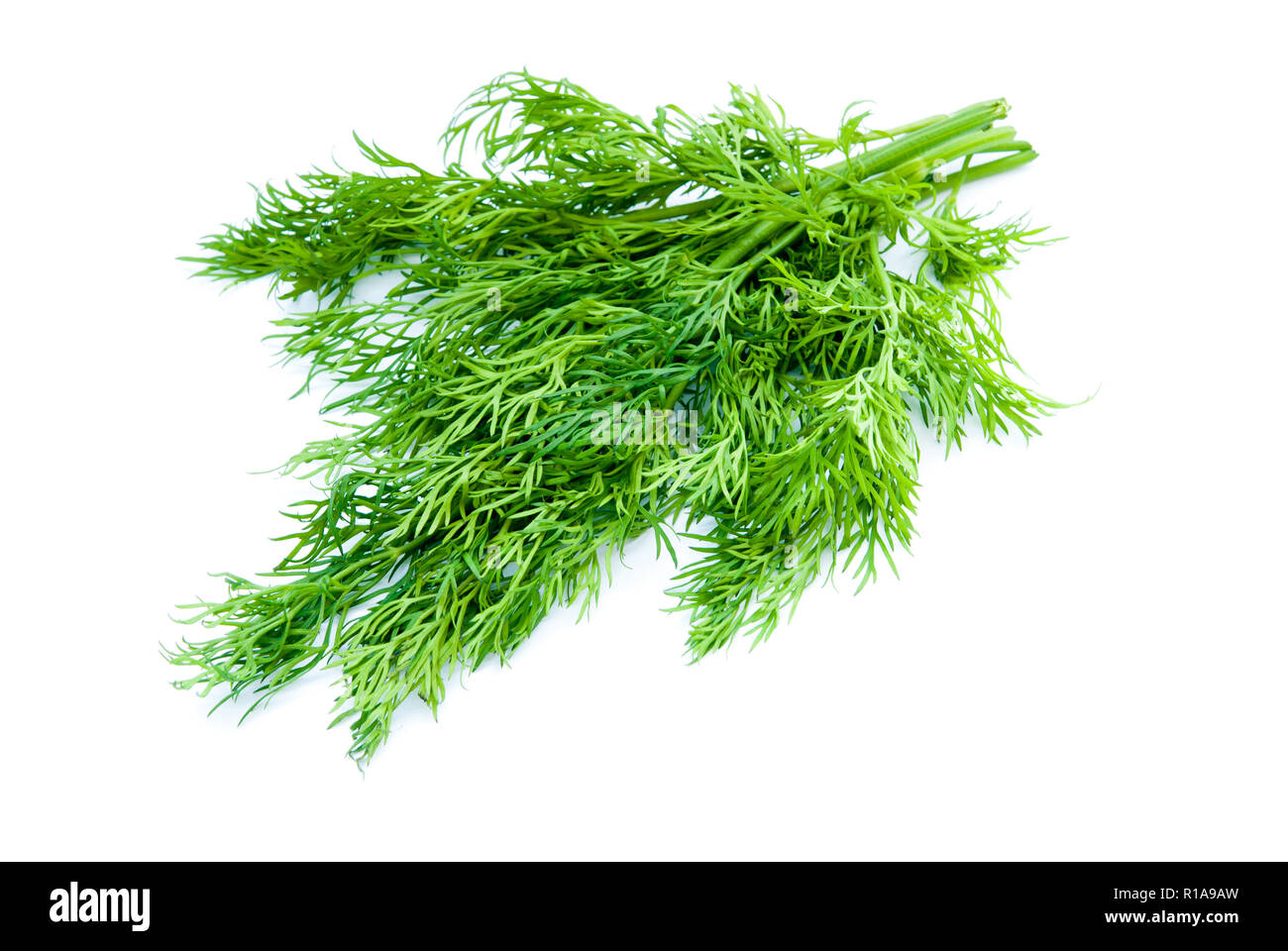 dill isolated on a white background Stock Photo