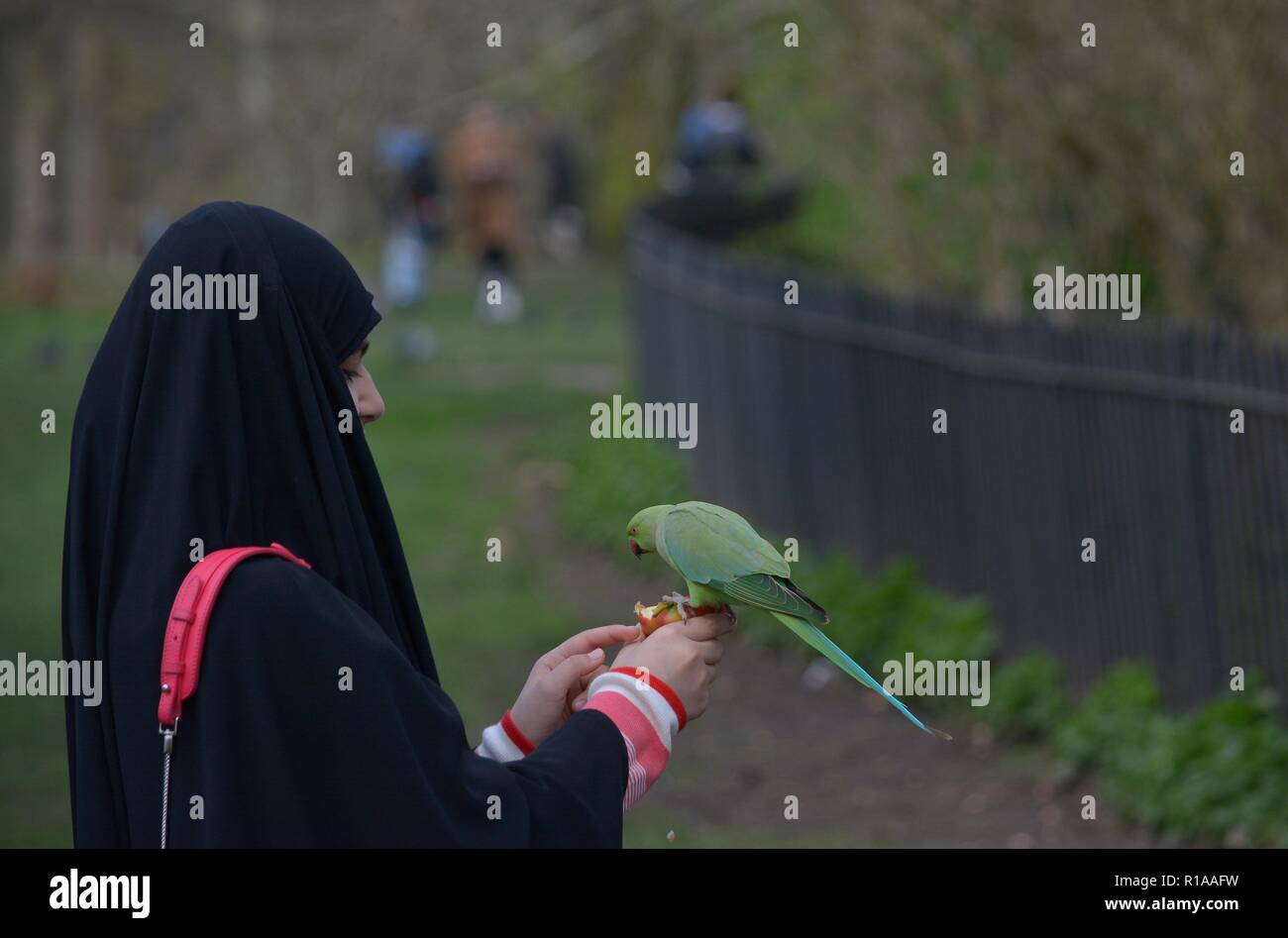 Hyde Park, London - April 07, 2018: Arab woman feeding a parakeet, Stock Photo