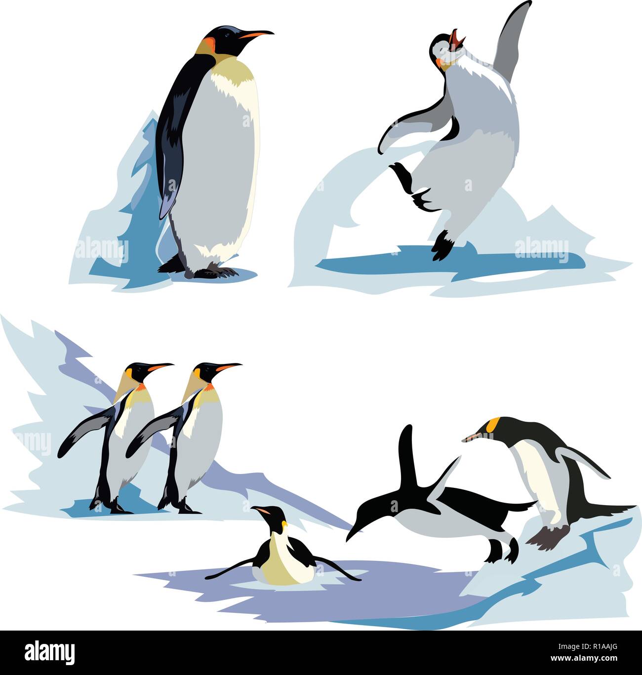 A set of realistic imperial penguins in different poses. Adult birds and chicks. Stock Vector