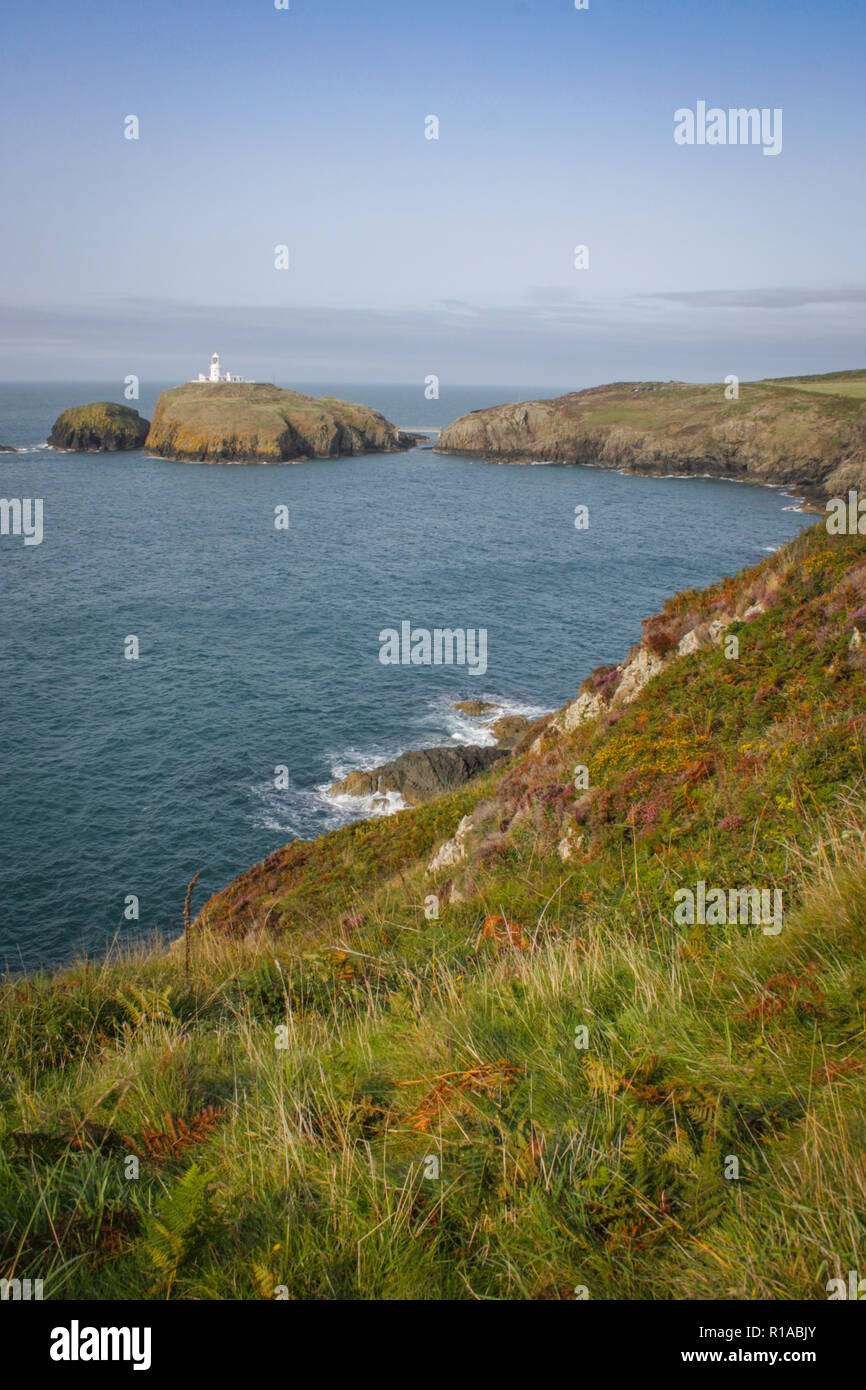 Coastal paths rugged cliffs hi-res stock photography and images - Alamy