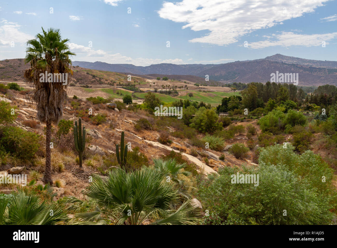 General view of Condor Ridge in the San Diego Zoo Safari Park
