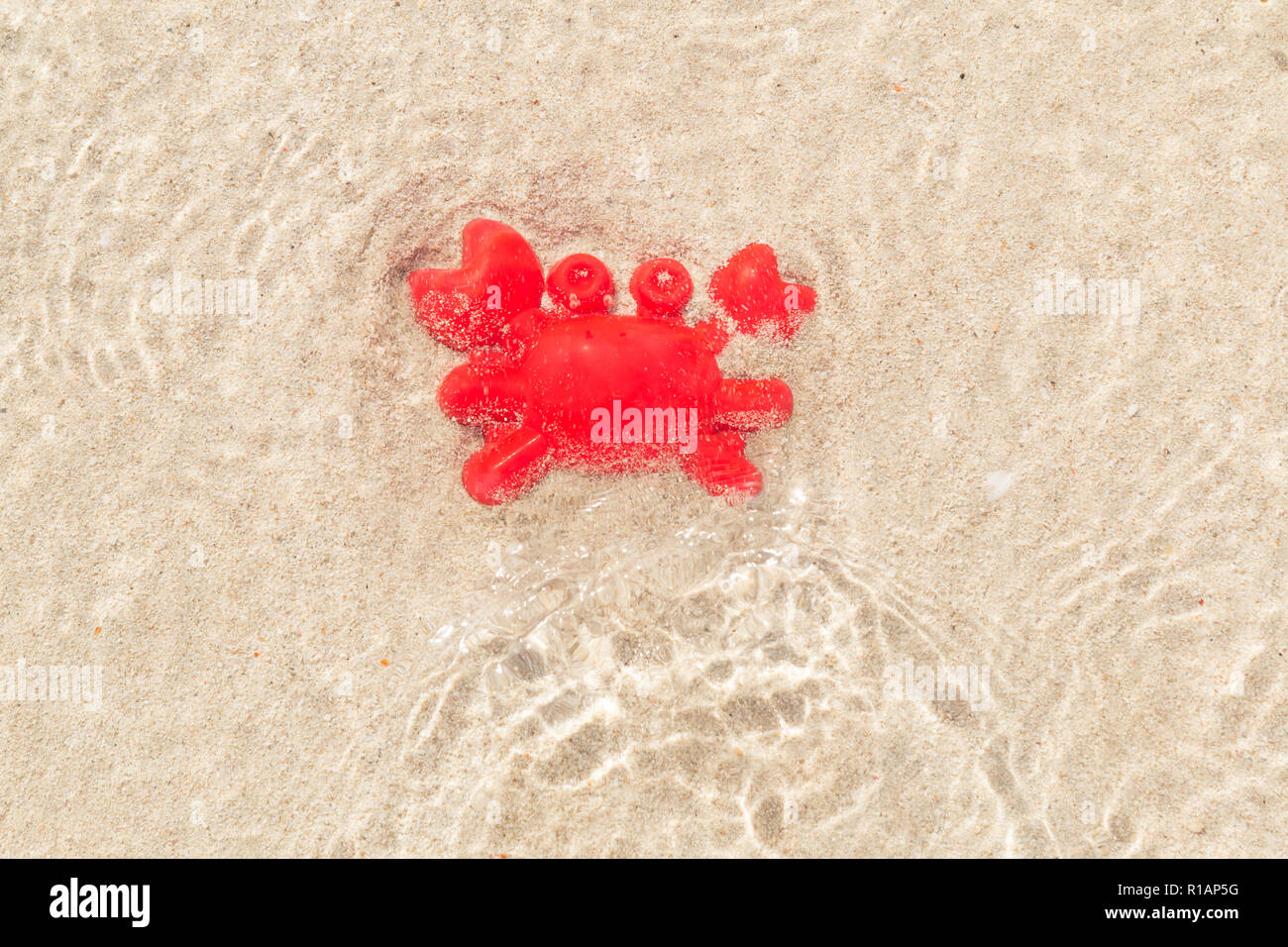 Toy red Hermit crab on sand under a shallow sea water with sunlight reflections on the surface of the water. Stock Photo