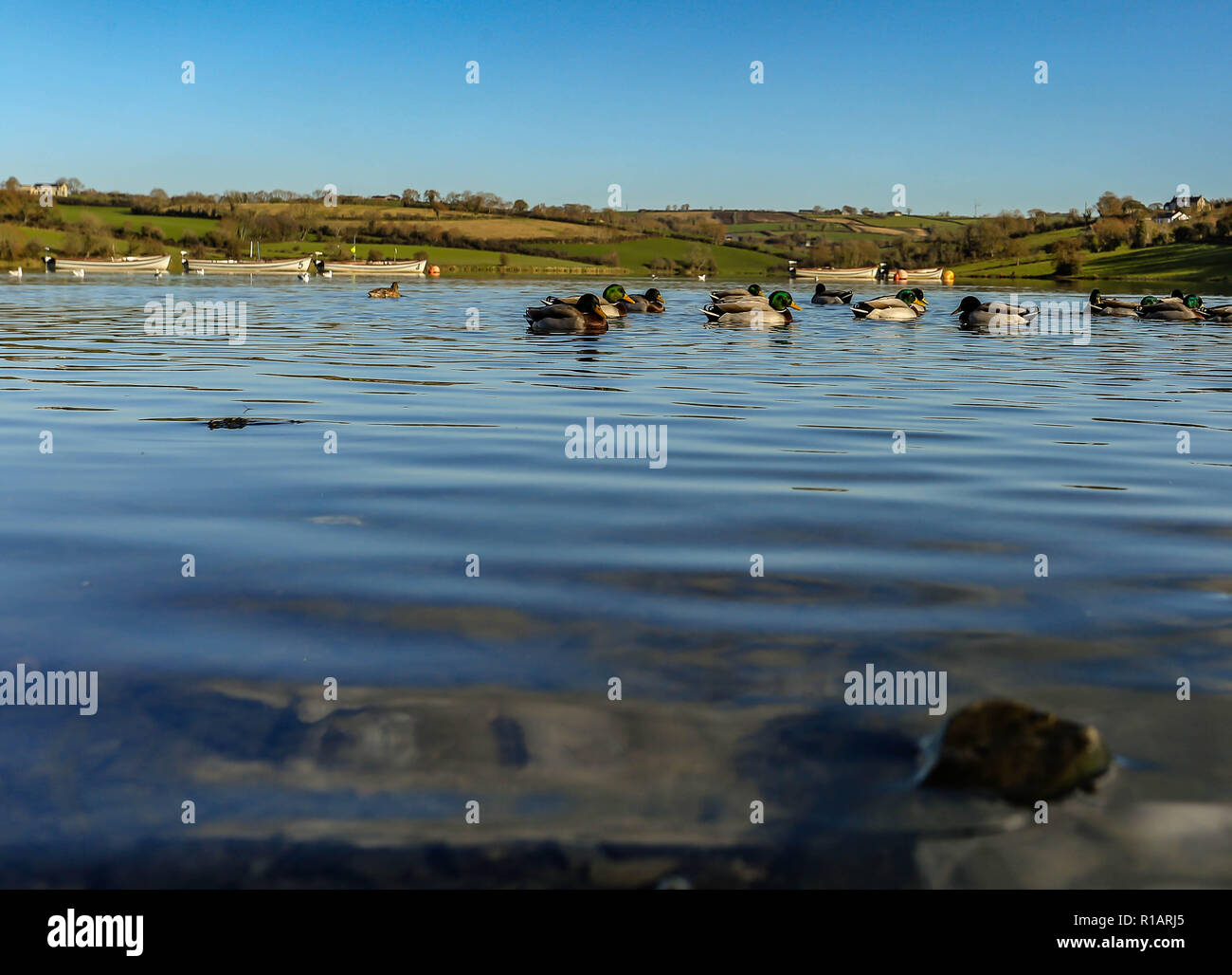 Dundrum river hi-res stock photography and images - Alamy