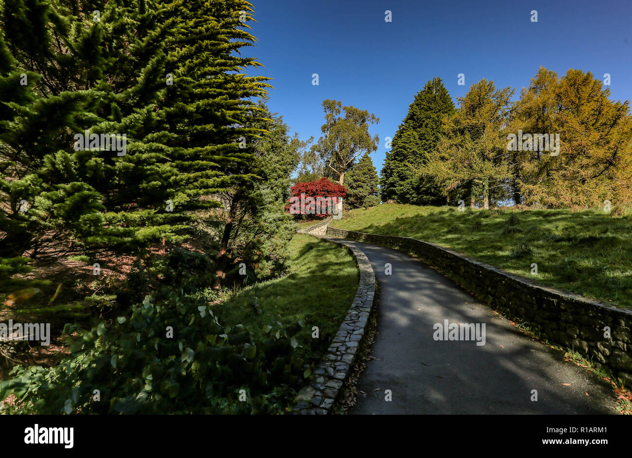Dundrum river hi-res stock photography and images - Alamy