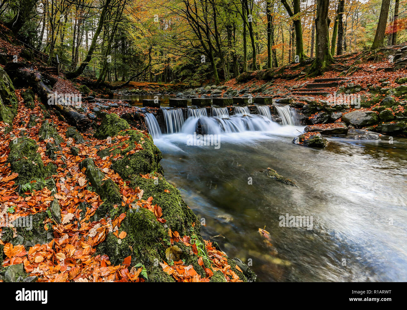 Dundrum River High Resolution Stock Photography and Images - Alamy