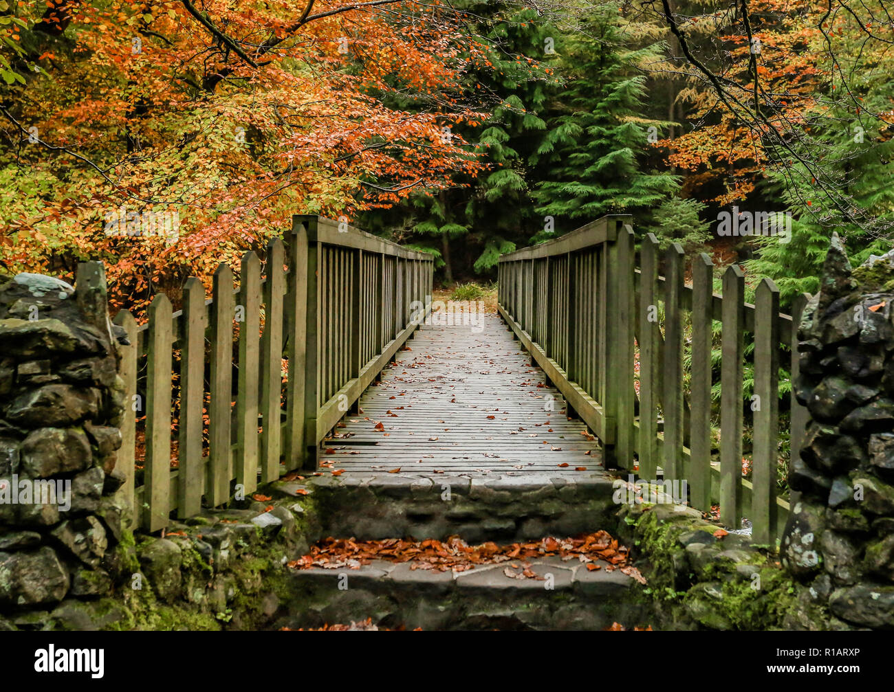 Dundrum river hi-res stock photography and images - Alamy