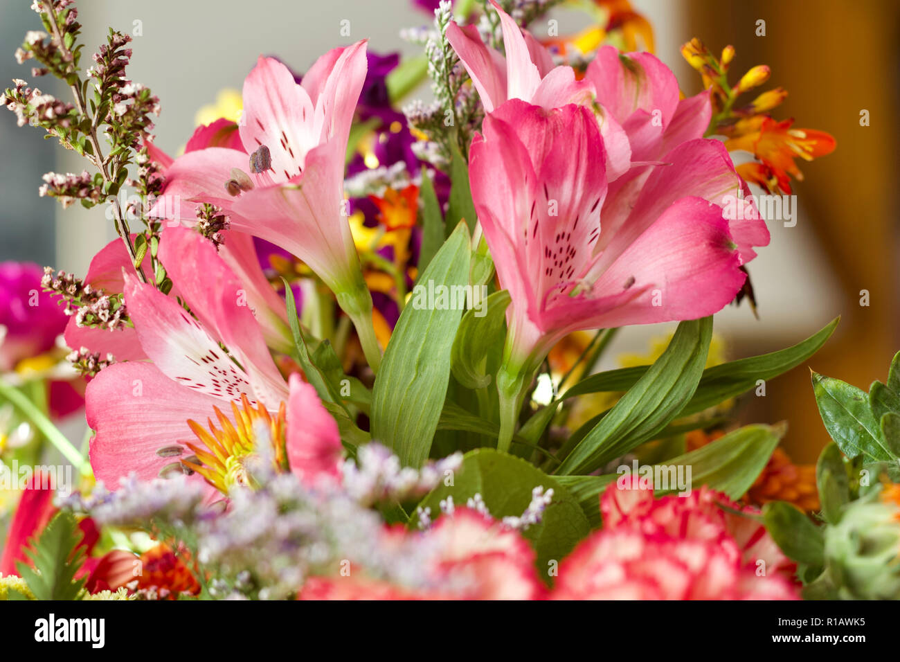 Close up view of beautiful pink Peruvian lily flowers in an indoor floral arrangement Stock Photo