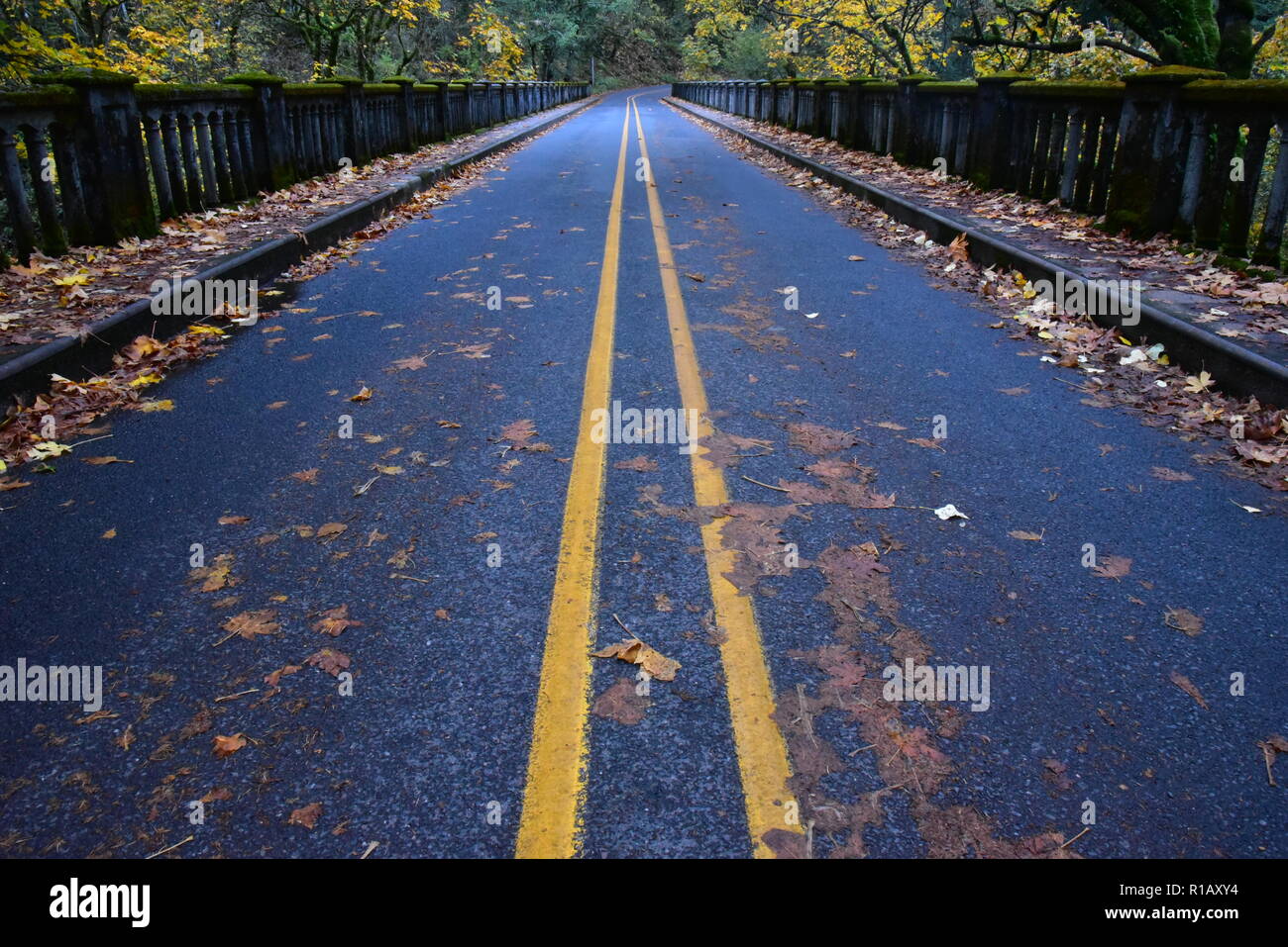 Road centerline looking across an old bridge Stock Photo Alamy