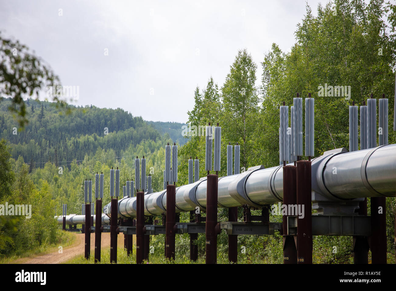 Trans alaska pipeline wildlife hi-res stock photography and Trans alaska pipeline wildlife hi-res stock photography and