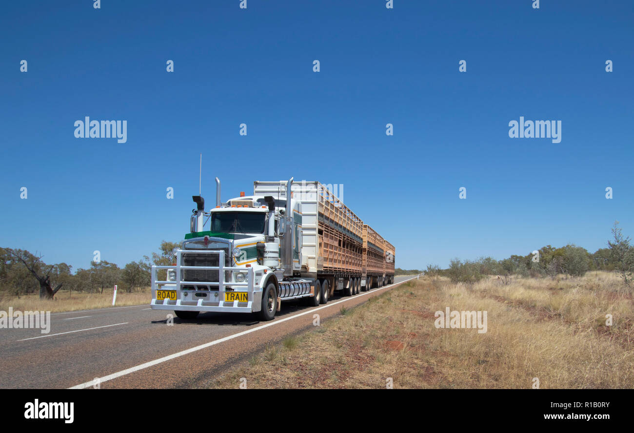 Road Train cattle truck on an outback Australian highway. Stock Photo