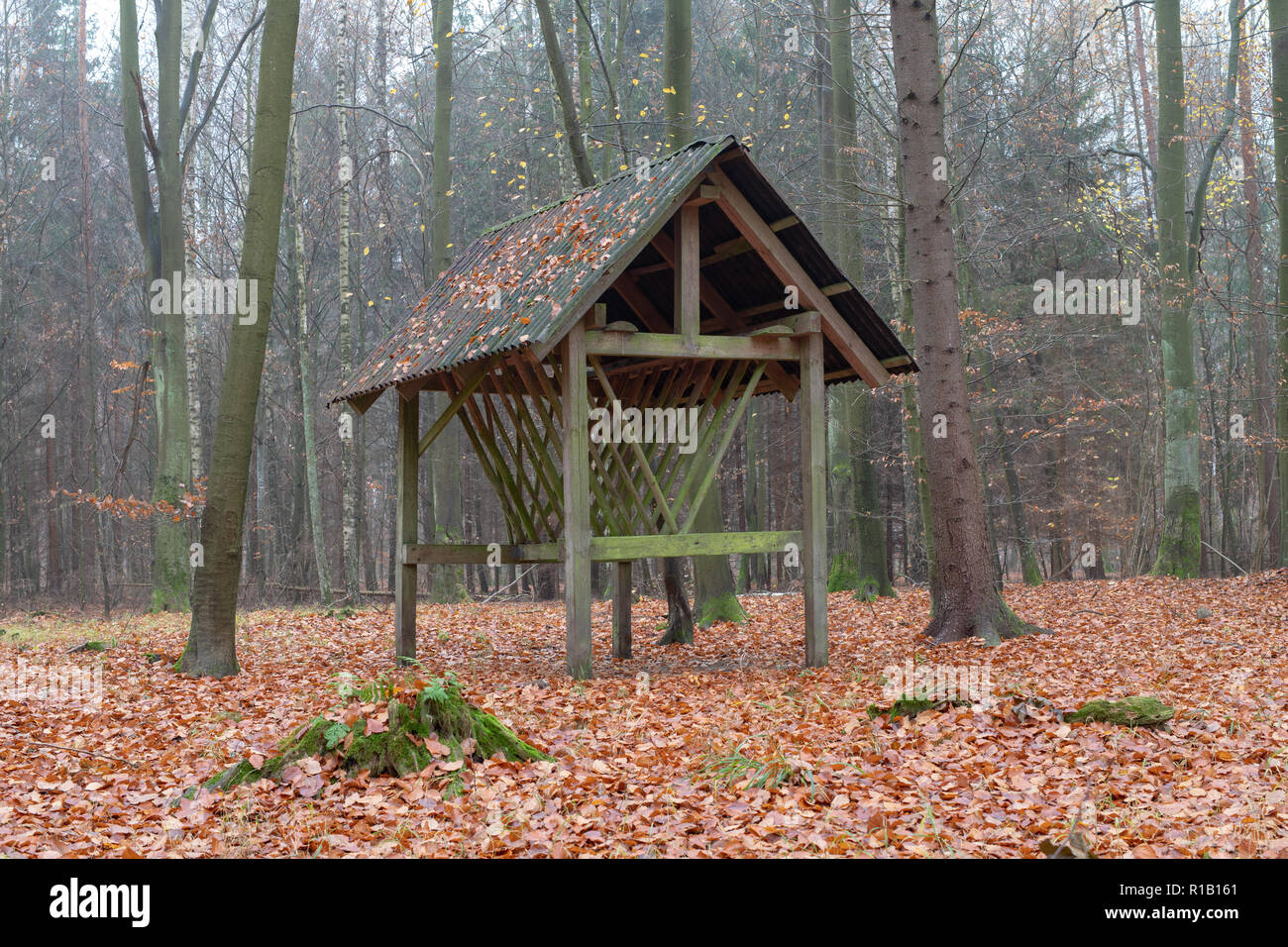 Forest Fodder Spring fodder rack hi-res stock photography and images - Alamy