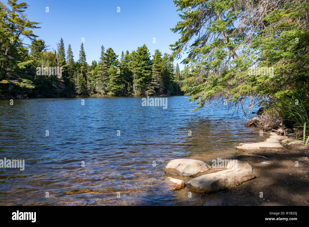 Lake and Trees, Algonquin National Park, Ontario, Canada Stock Photo