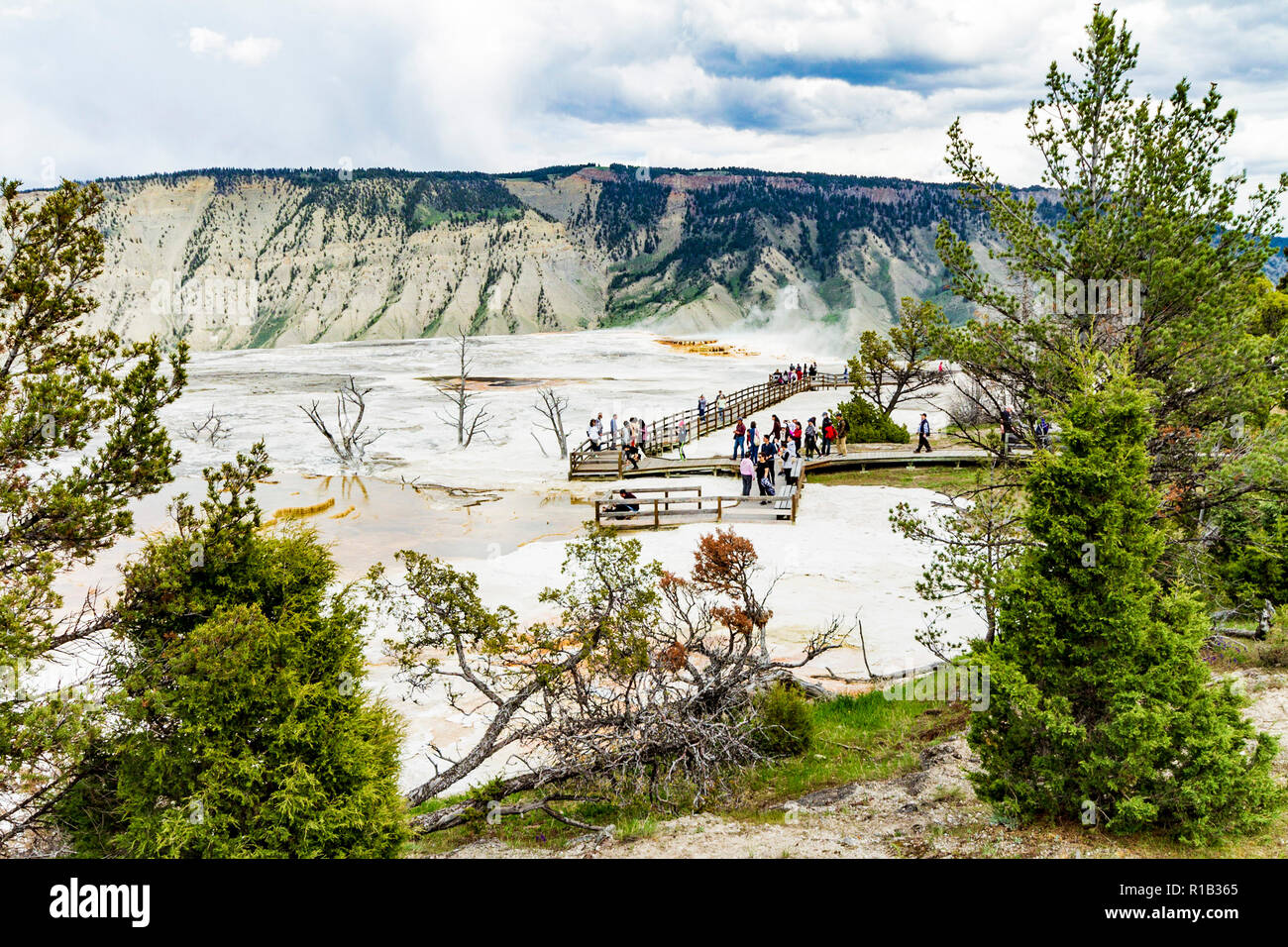 Mamoth hot springs panorama view in Yellowstone National Park Stock Photo