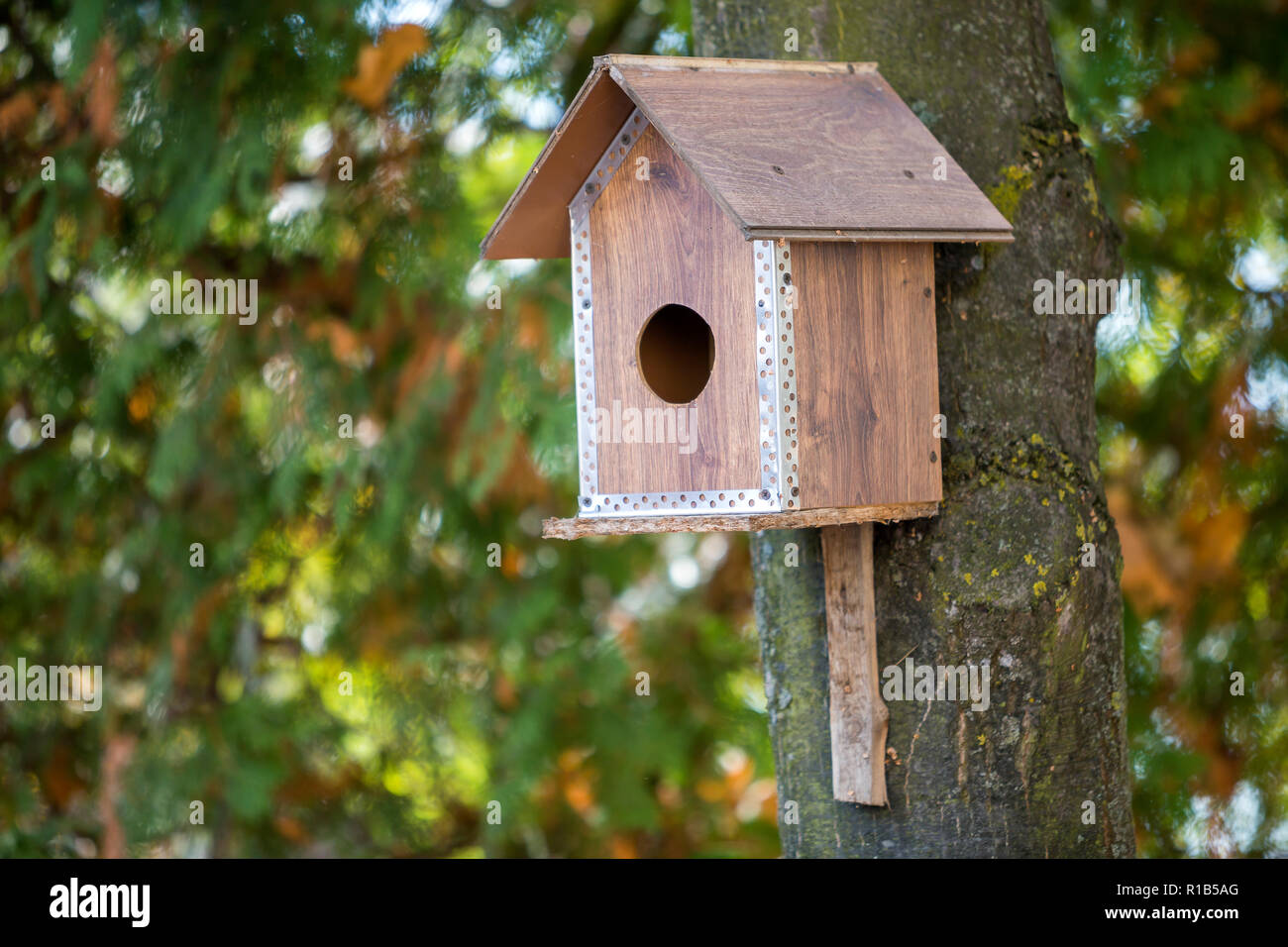 Wooden Brown New Bird House Or Nesting Box Attached To Tree Trunk