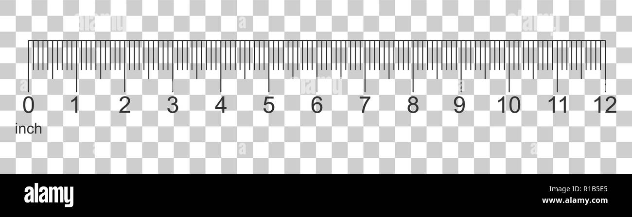 3.625 inches 2024 on a ruler