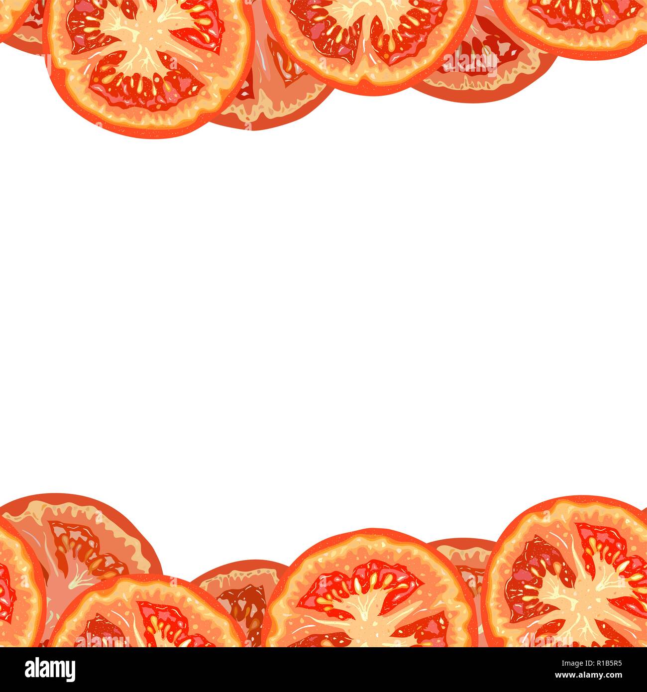 Vector seamless border of tomato slices on white background Stock Vector