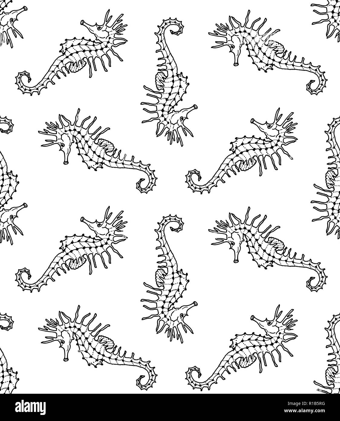 Vector seamless pattern of cartoon seahorse on white background ...