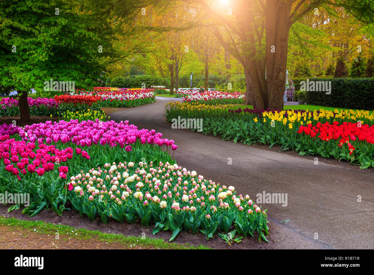 Beautiful spring landscape, fabulous Keukenhof garden with ...