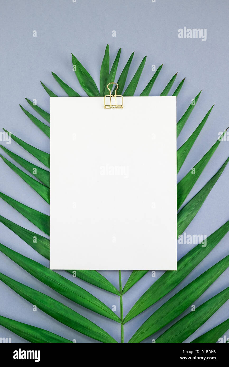 Creative flat lay top view mock up blank paper sheet postcard clipboard ...