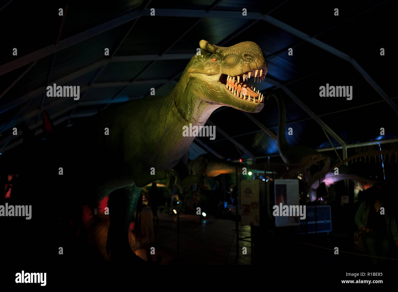 Beklar uchun qullar haqida porno hikoyalar Mashhur porno: chiroyli jinsiy aloqa