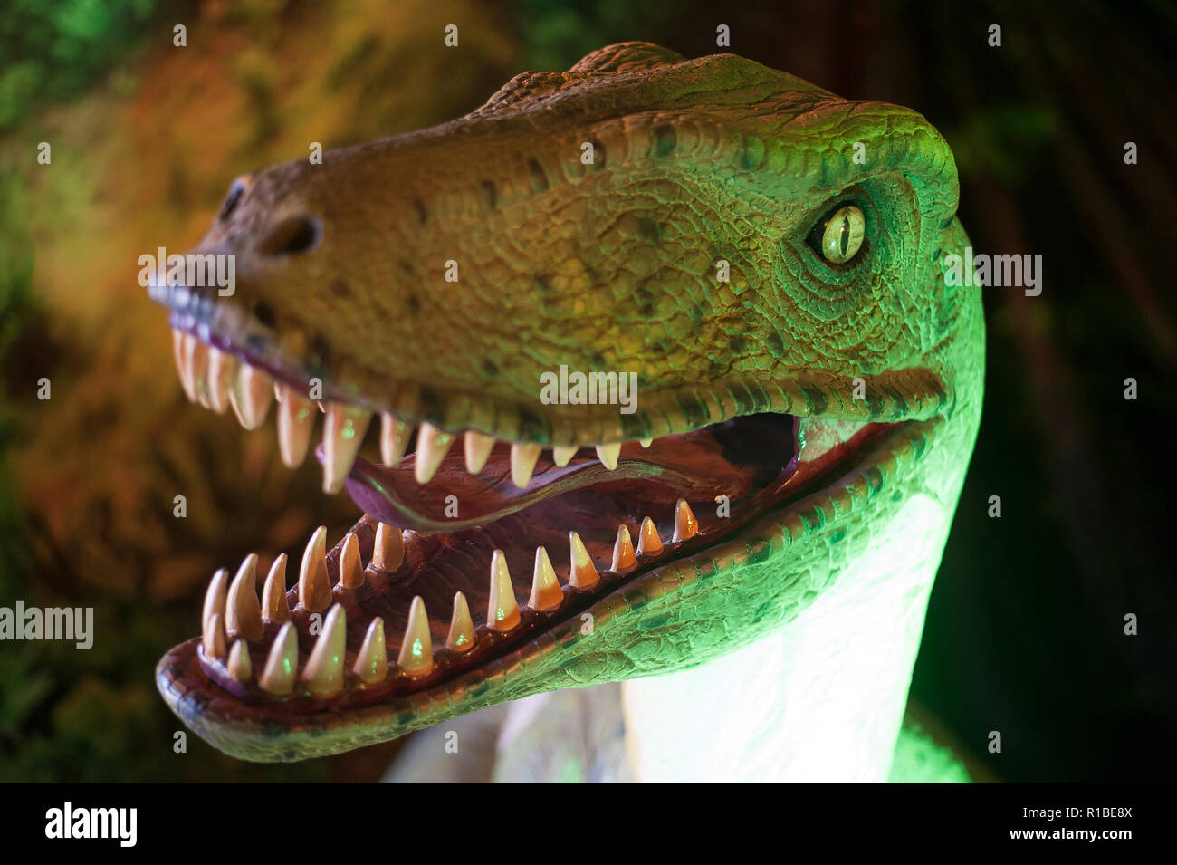 MY DINOSAURS Jurassic Dinosaur Park Dinosaur Teeth Model Replica