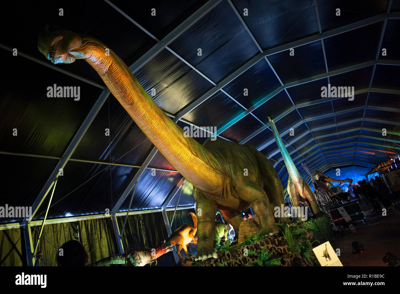 A large replica of a dinosaur is seen during the Dino Expo xxl. This exhibition is divided into two periods (Dinosaurs age and Ice age), having more than 100 different animated dinosaurs replicas of 12 metres of measure, with mechanism of movement and sound. The project with figures of dinosaurs that are replicas to real scale, have the purpose to make the known details of the dinosaurs age when they settle on the earth. Stock Photo