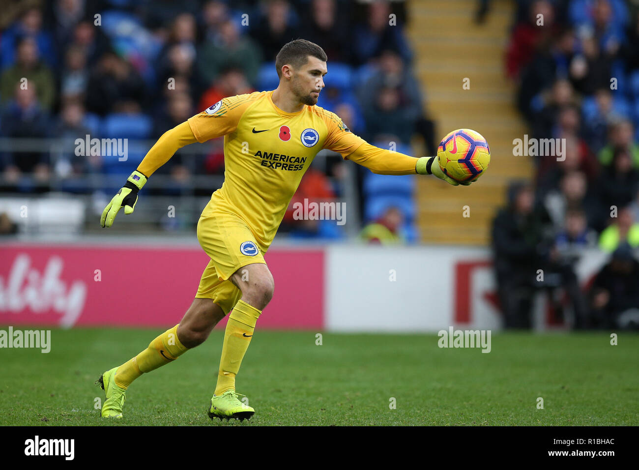 Brighton & Hove Albion goalkeeper Mathew Ryan in action. Premier League match, Cardiff City v Brighton & Hove Albion at the Cardiff City Stadium on Saturday 10th November 2018.  this image may only be used for Editorial purposes. Editorial use only, license required for commercial use. No use in betting, games or a single club/league/player publications. pic by  Andrew Orchard/Andrew Orchard sports photography/Alamy Live news Stock Photo