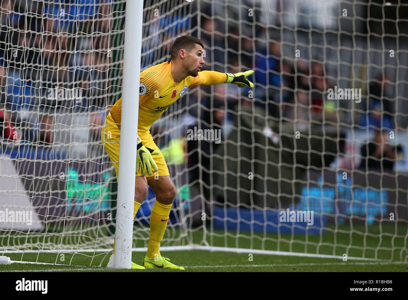 Brighton & Hove Albion goalkeeper Mathew Ryan in action.Premier League match, Cardiff City v Brighton & Hove Albion at the Cardiff City Stadium on Saturday 10th November 2018.  this image may only be used for Editorial purposes. Editorial use only, license required for commercial use. No use in betting, games or a single club/league/player publications. pic by  Andrew Orchard/Andrew Orchard sports photography/Alamy Live news Stock Photo