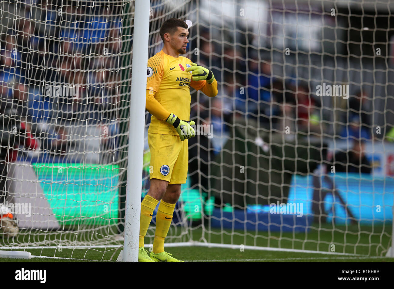 Brighton & Hove Albion goalkeeper Mathew Ryan in action.Premier League match, Cardiff City v Brighton & Hove Albion at the Cardiff City Stadium on Saturday 10th November 2018.  this image may only be used for Editorial purposes. Editorial use only, license required for commercial use. No use in betting, games or a single club/league/player publications. pic by  Andrew Orchard/Andrew Orchard sports photography/Alamy Live news Stock Photo