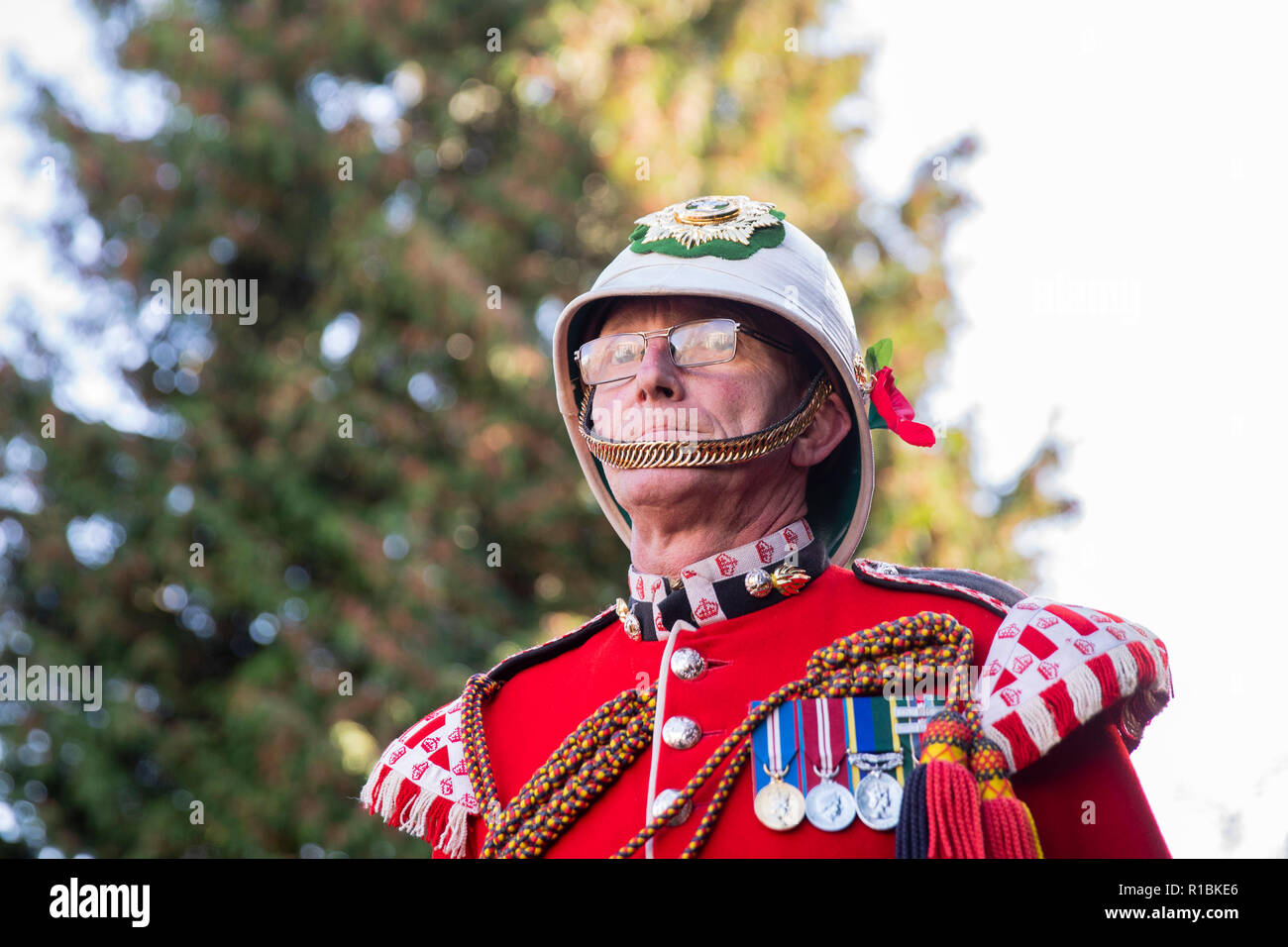 Cardiff, Wales, UK, November 11th 2018. Veterans of the Royal Welsh regiment during the National Service of Remembrance for Wales at the National War Memorial for Wales in Cathays Park, Cardiff. Credit: Mark Hawkins/Alamy Live News Stock Photo