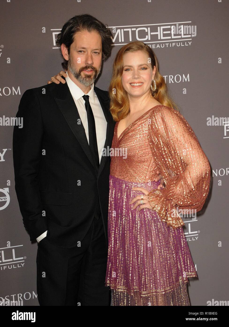 Culver City, CA. 10th Nov, 2018. Darren Le Gallo, Amy Adams at arrivals