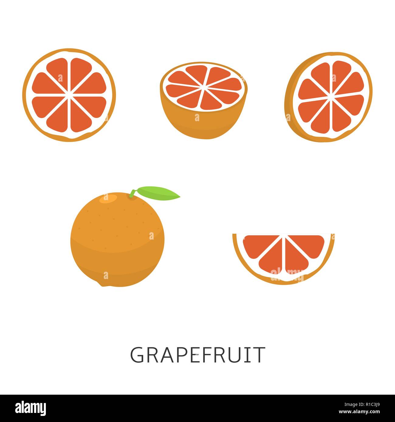 Grapefruit set isolated.Vector illustration vegan concept Stock Vector ...