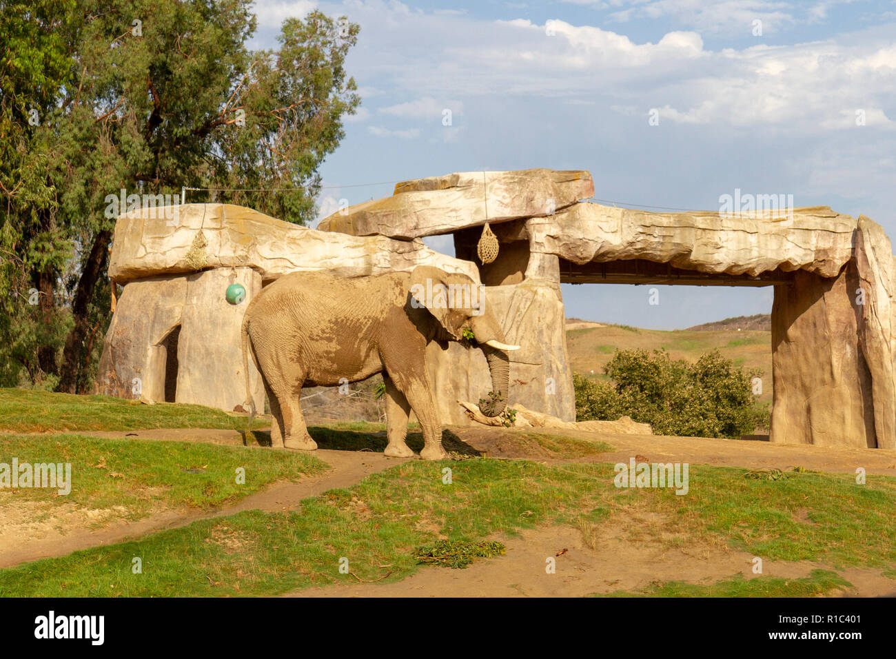 Elephant Valley San Diego Zoo