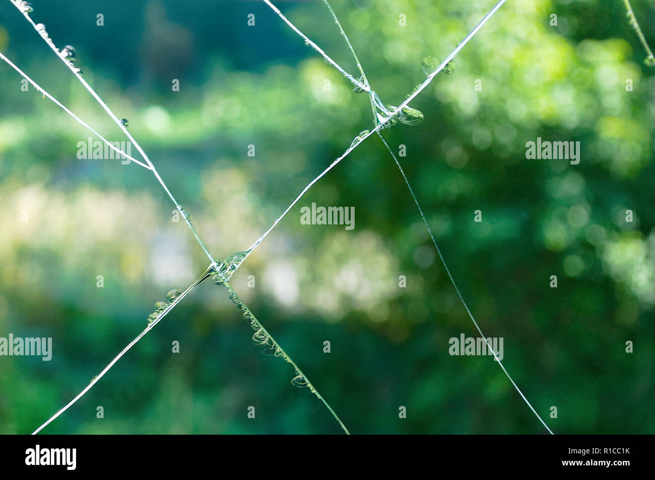 Cracks on the glass. Close-up. Stock Photo