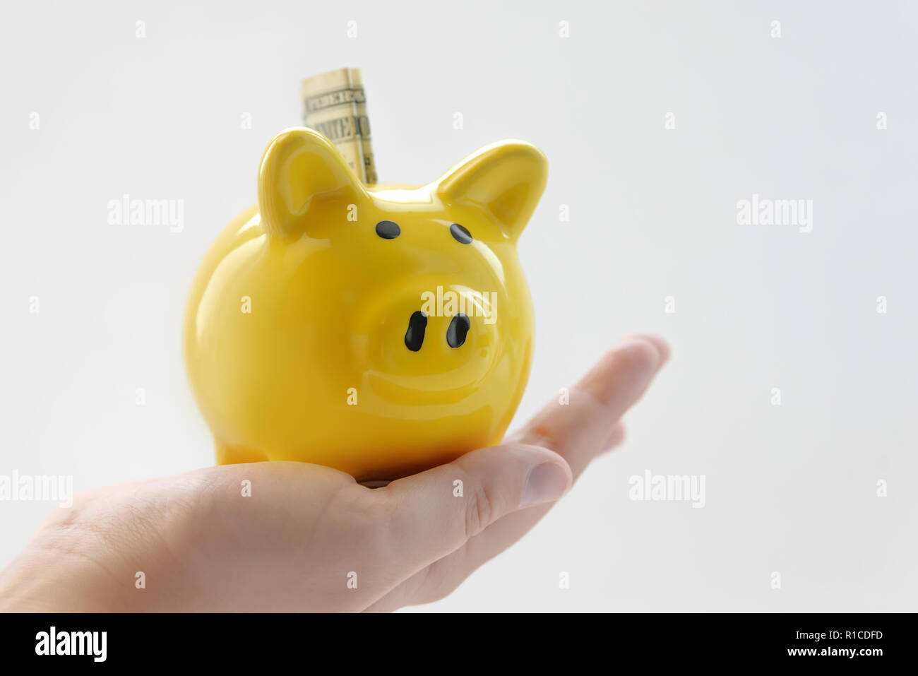 Yellow Pig Moneybox In The Hands Of A Child One Dollar White - yellow pig moneybox in the hands of a child one dollar white background