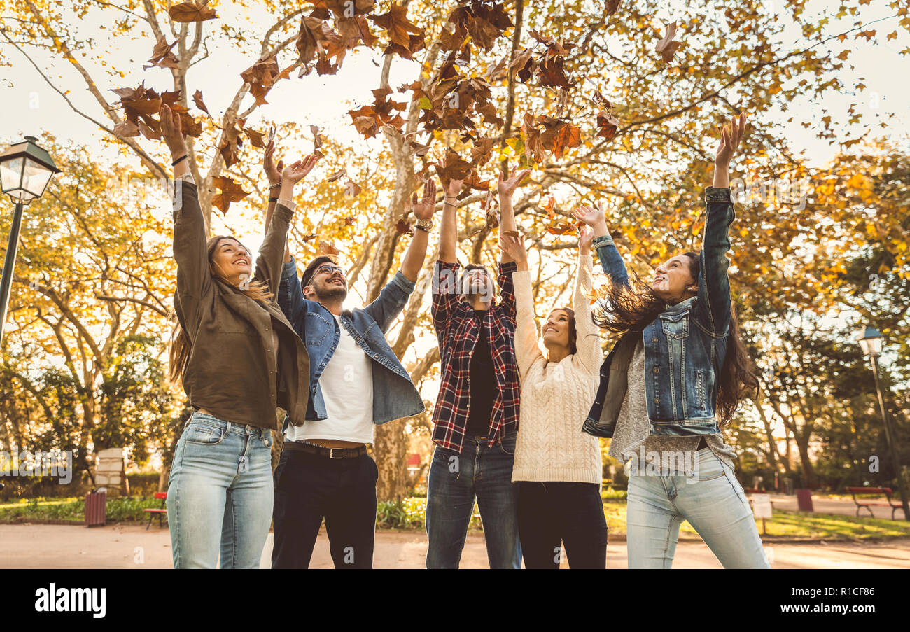 Group of trees with autumn leaves hi-res stock photography and images ...