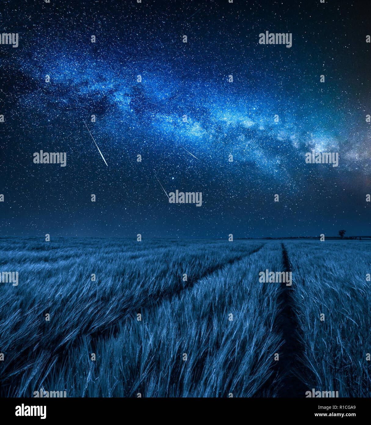 Amazing milky way over field with wheat at night Stock Photo - Alamy