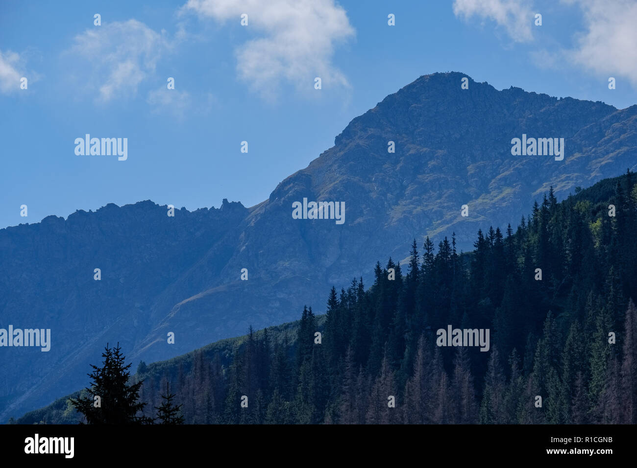 western carpathian mountain tops in autumn covered in mist or clouds ...