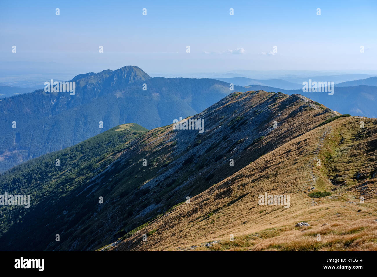 western carpathian mountain tops in autumn covered in mist or clouds ...