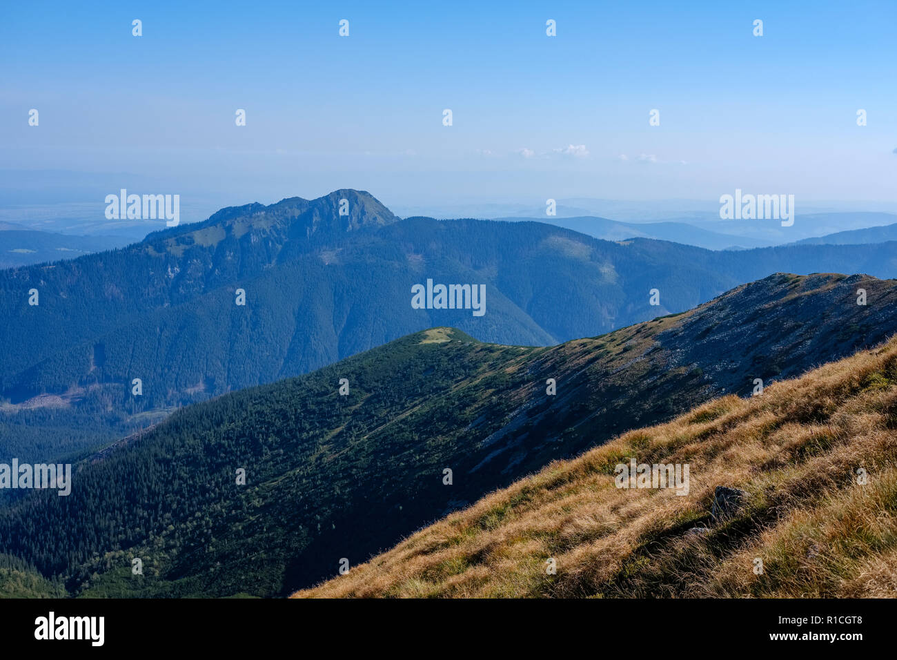 western carpathian mountain tops in autumn covered in mist or clouds ...