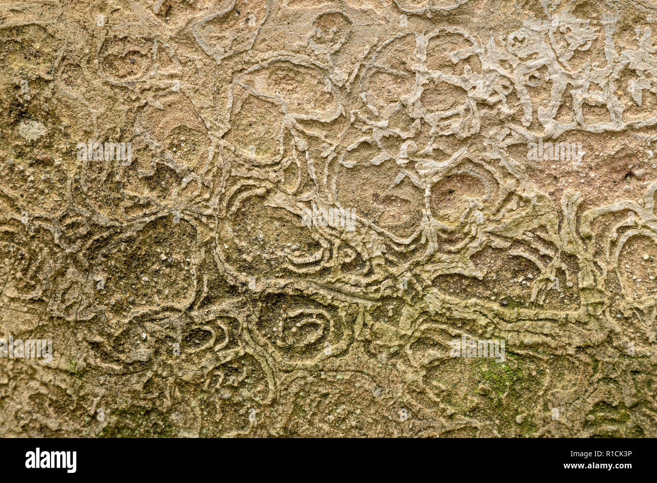 Textured motifs on the exterior of a house in Erice, Sicily, southern Italy. Stock Photo