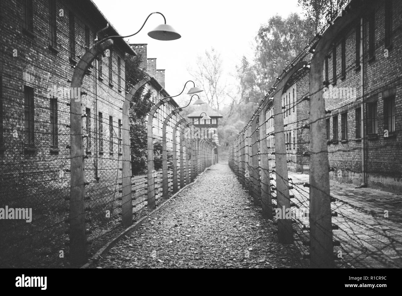 Auschwitz Nazi concentration and extermination camp. Electrified fences separating barracks. Auschwitz, German-occupied, Poland, Europe Stock Photo