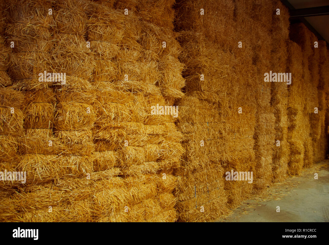 Wall of big packs of hay in the storehouse, Spain Stock Photo