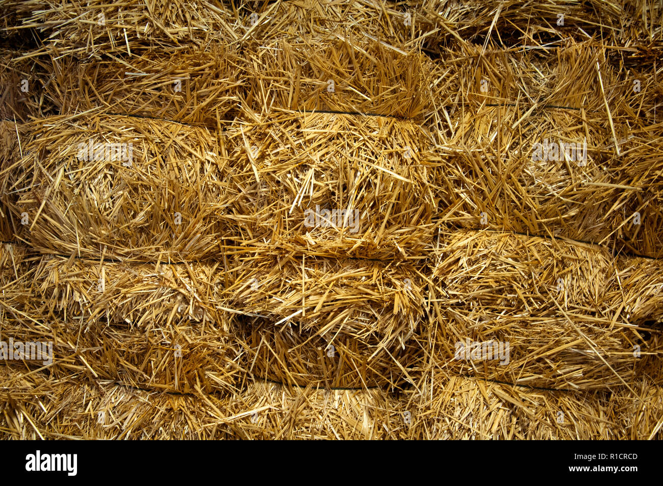 Bug bricks of yellow hay, close-up, Spain Stock Photo