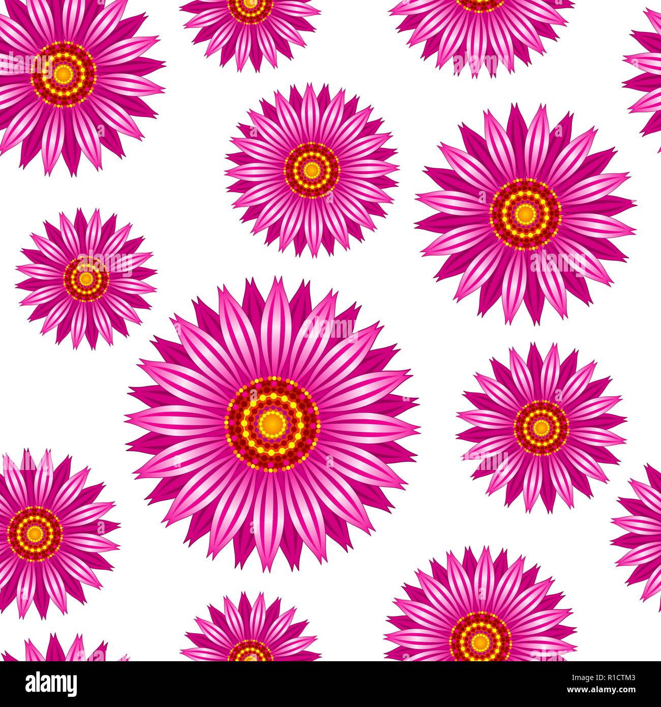 Echinacea purpurea flowers vector seamless pattern. Stock Vector
