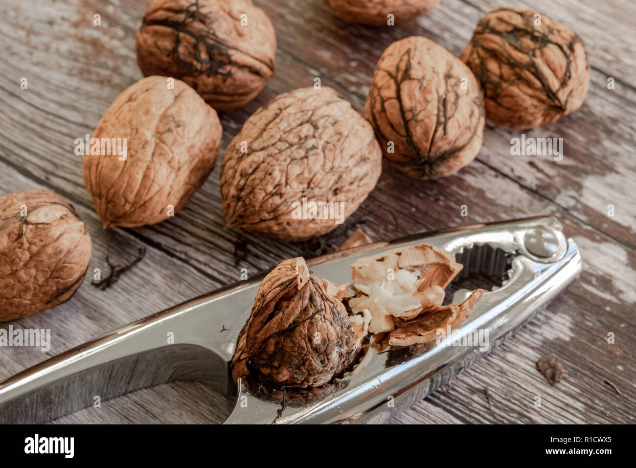 Close-up, shallow focus image of freshly cracked Walnuts seen with a metal Nutcracker. Fragments of the shells are seen on the wooden table. Stock Photo
