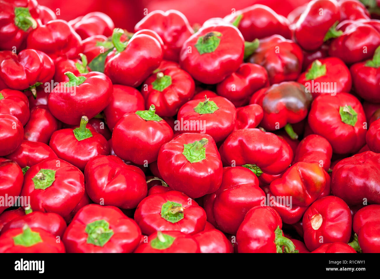 Paprika capsicum chinense red hires stock photography and images Alamy